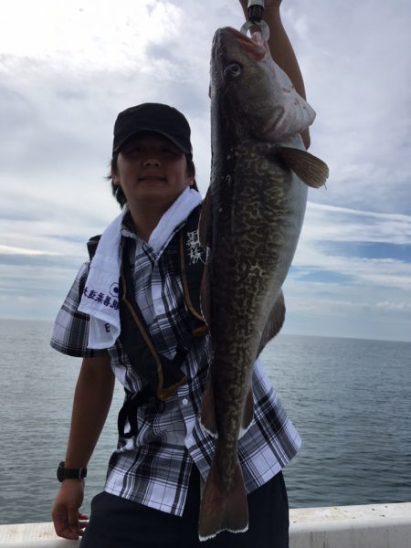 エヌスタイル 釣果