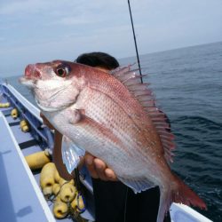 新幸丸 釣果