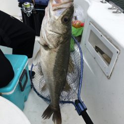 うさぎ丸 釣果