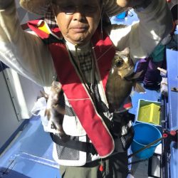 ヤザワ渡船 釣果