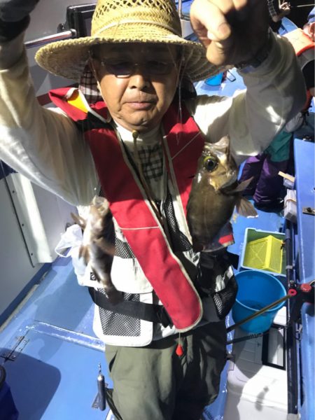 ヤザワ渡船 釣果