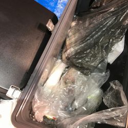 海龍丸（石川） 釣果