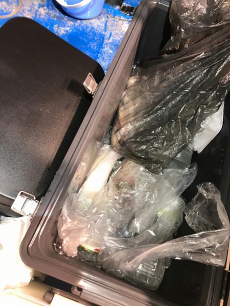 海龍丸（石川） 釣果