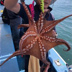 ヤザワ渡船 釣果