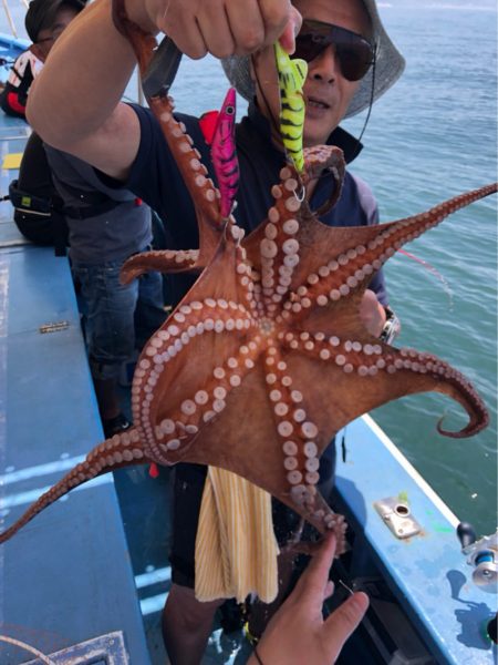 ヤザワ渡船 釣果