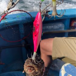 ヤザワ渡船 釣果