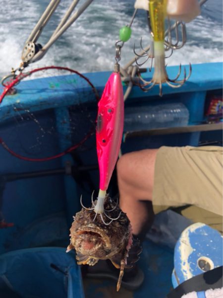 ヤザワ渡船 釣果