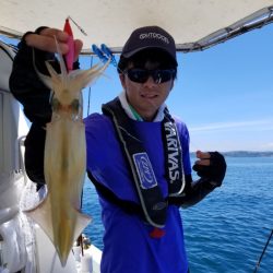 ソルトウォーターガイドフレンズ 釣果