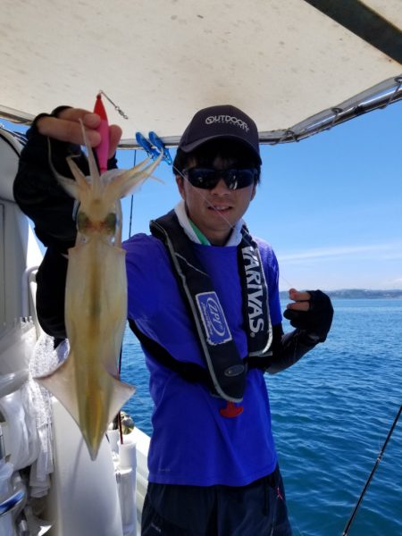 ソルトウォーターガイドフレンズ 釣果