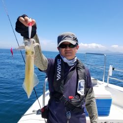 ソルトウォーターガイドフレンズ 釣果