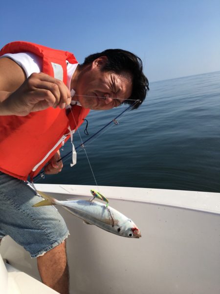 うさぎ丸 釣果
