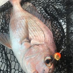 龍神丸(鹿児島) 釣果