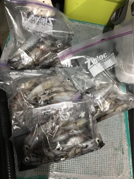 ＴＡＲＯＭＡＲＵ 釣果