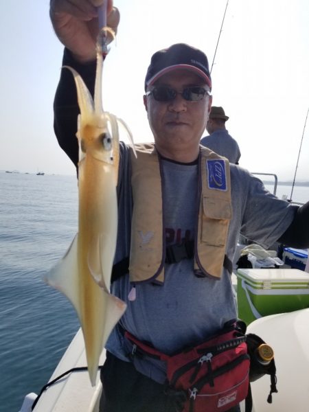 ソルトウォーターガイドフレンズ 釣果