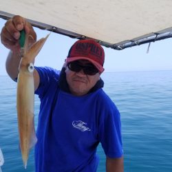 ソルトウォーターガイドフレンズ 釣果