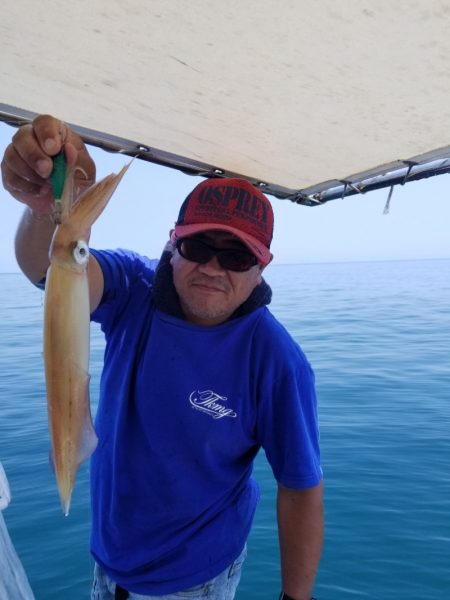 ソルトウォーターガイドフレンズ 釣果