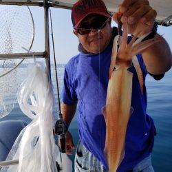 ソルトウォーターガイドフレンズ 釣果