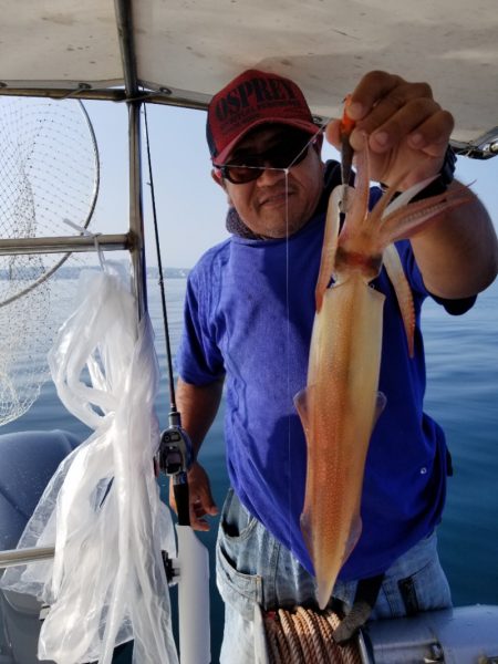 ソルトウォーターガイドフレンズ 釣果