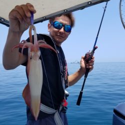 ソルトウォーターガイドフレンズ 釣果