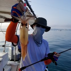 ソルトウォーターガイドフレンズ 釣果