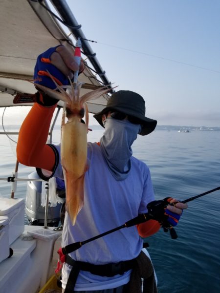 ソルトウォーターガイドフレンズ 釣果