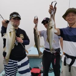 アマテラス 釣果