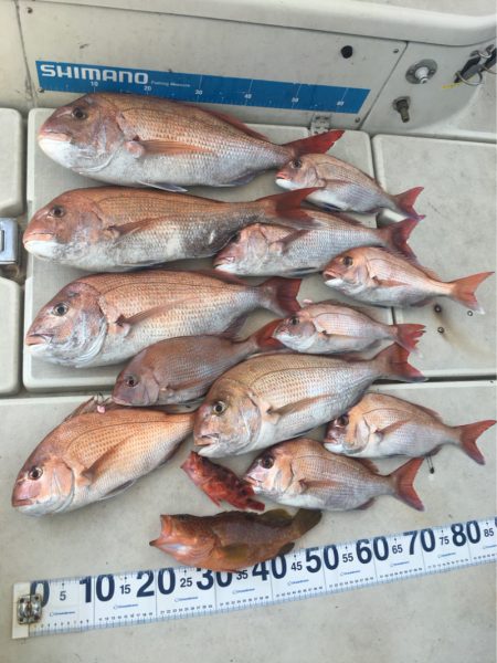 末広丸(熊本) 釣果