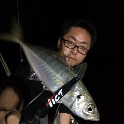 エヌスタイル 釣果