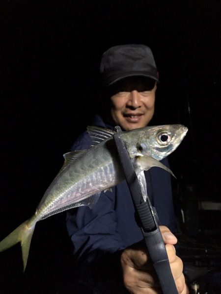 エヌスタイル 釣果