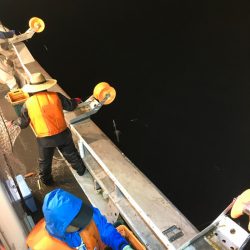 シーランチ 釣果