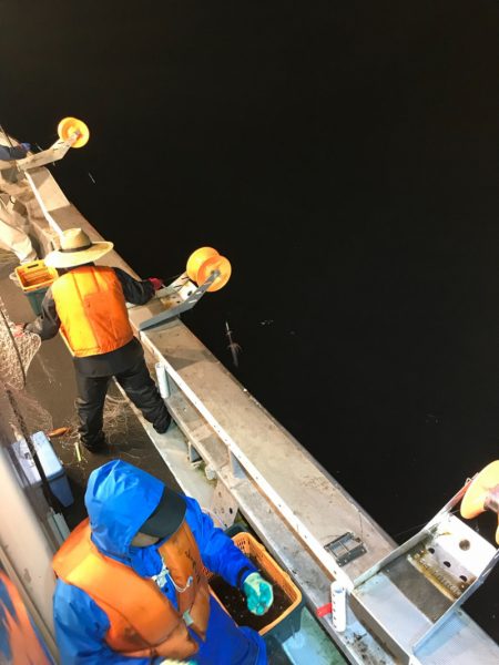 シーランチ 釣果