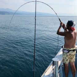 第二八坂丸 釣果