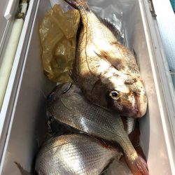 第二八坂丸 釣果