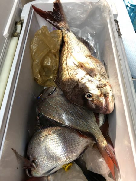 第二八坂丸 釣果