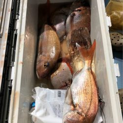 第二八坂丸 釣果