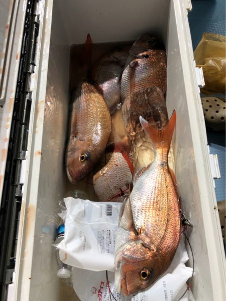 第二八坂丸 釣果