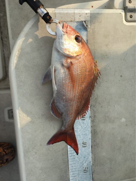 末広丸(熊本) 釣果