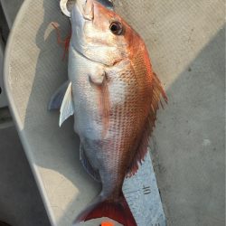 末広丸(熊本) 釣果