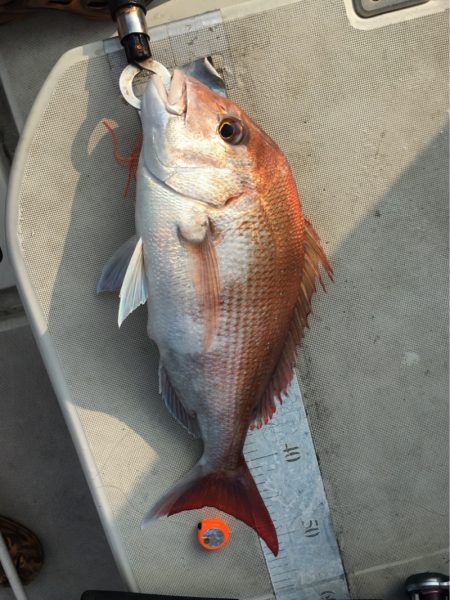 末広丸(熊本) 釣果
