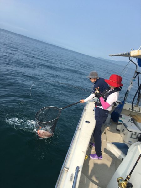 末広丸(熊本) 釣果