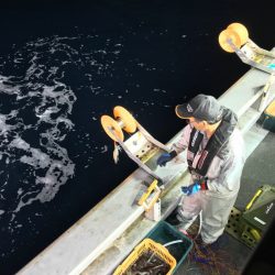 シーランチ 釣果