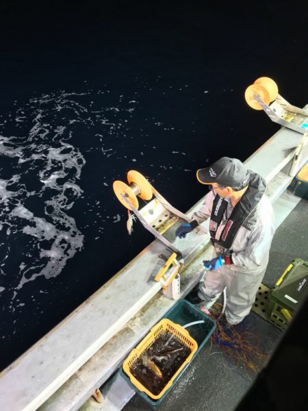 シーランチ 釣果