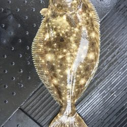 第二龍勢丸 釣果