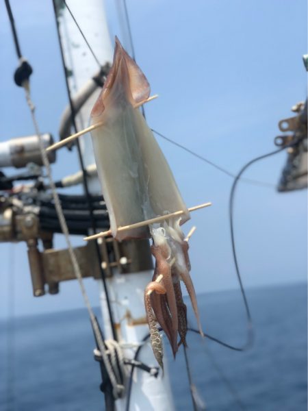 ＴＡＲＯＭＡＲＵ 釣果