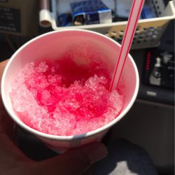 遊漁船メテオ 釣果