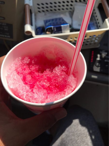 遊漁船メテオ 釣果