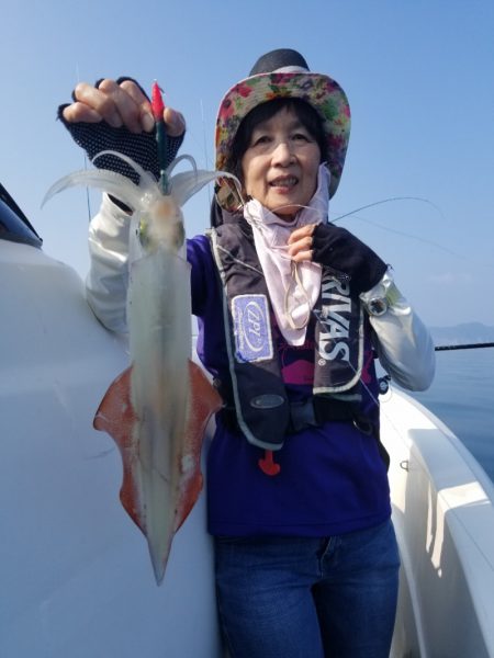 ソルトウォーターガイドフレンズ 釣果