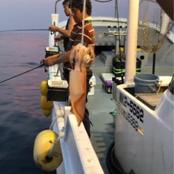 ＴＡＲＯＭＡＲＵ 釣果