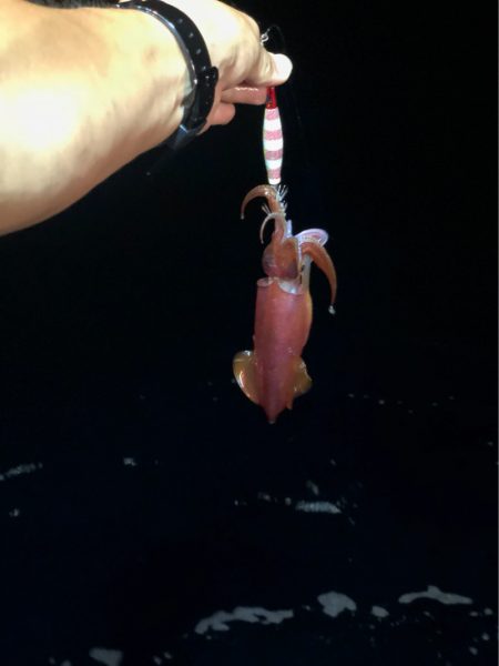 ＴＡＲＯＭＡＲＵ 釣果