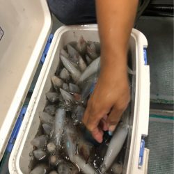 ＴＡＲＯＭＡＲＵ 釣果